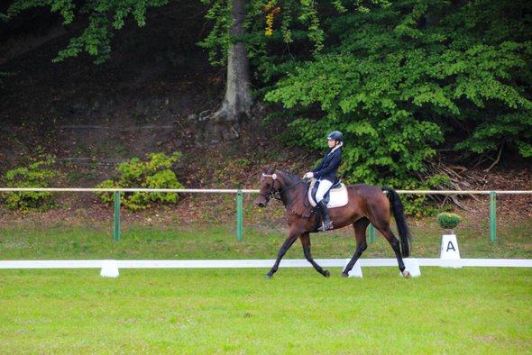 Reitsport