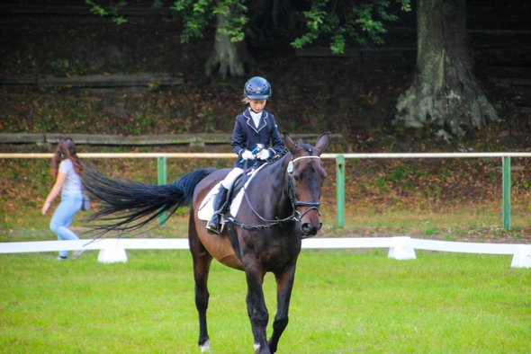 Reitsport