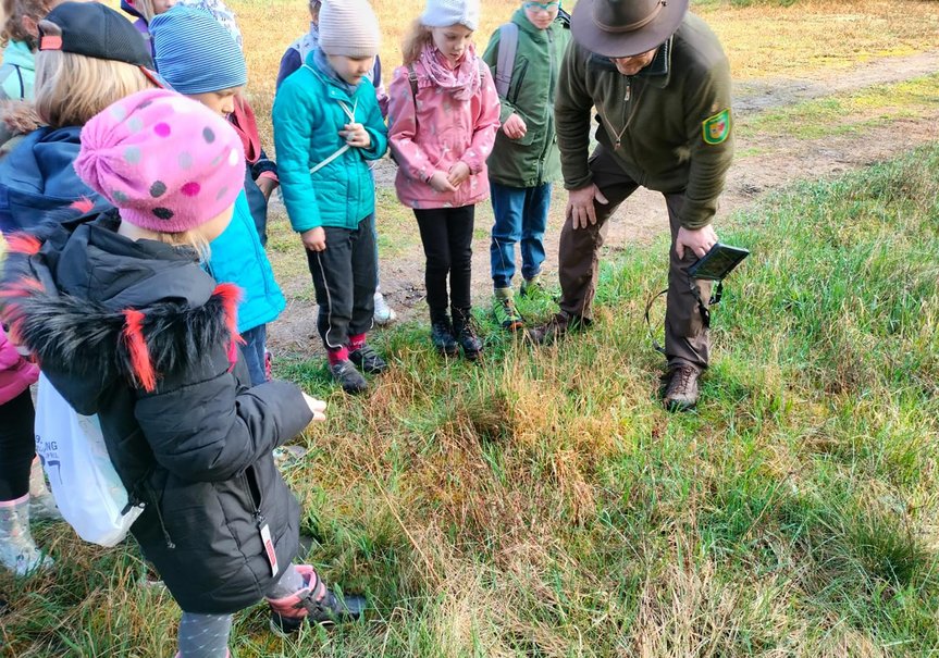 zeigt Kindergruppe in einer Wiese