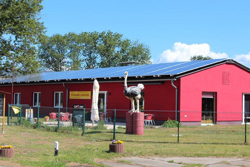 Straussenfarm Hofladen Straussenfarm Hofladen