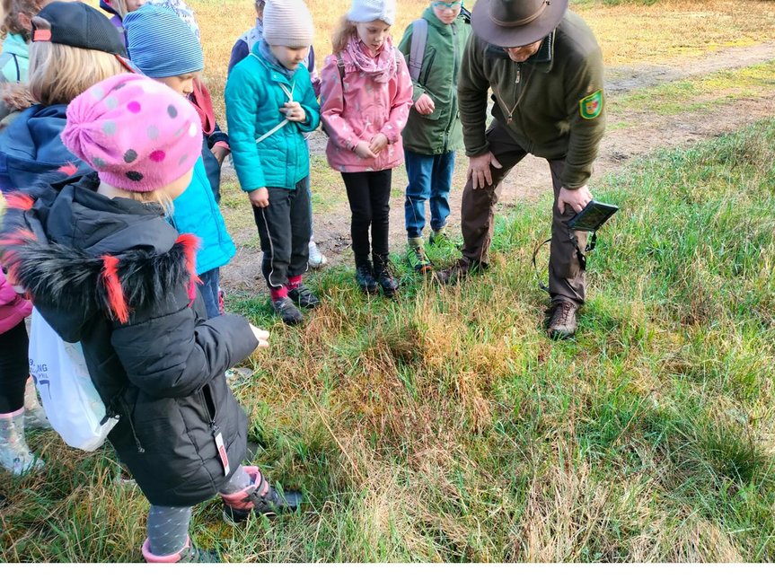 zeigt Kindergruppe in einer Wiese