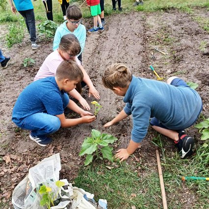 zeigt Kinder beim Anpflanzen