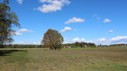 Gegensee