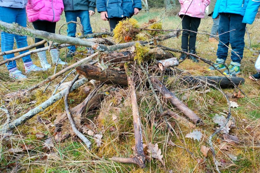 zeigt nachgebauten Ameisenhügel