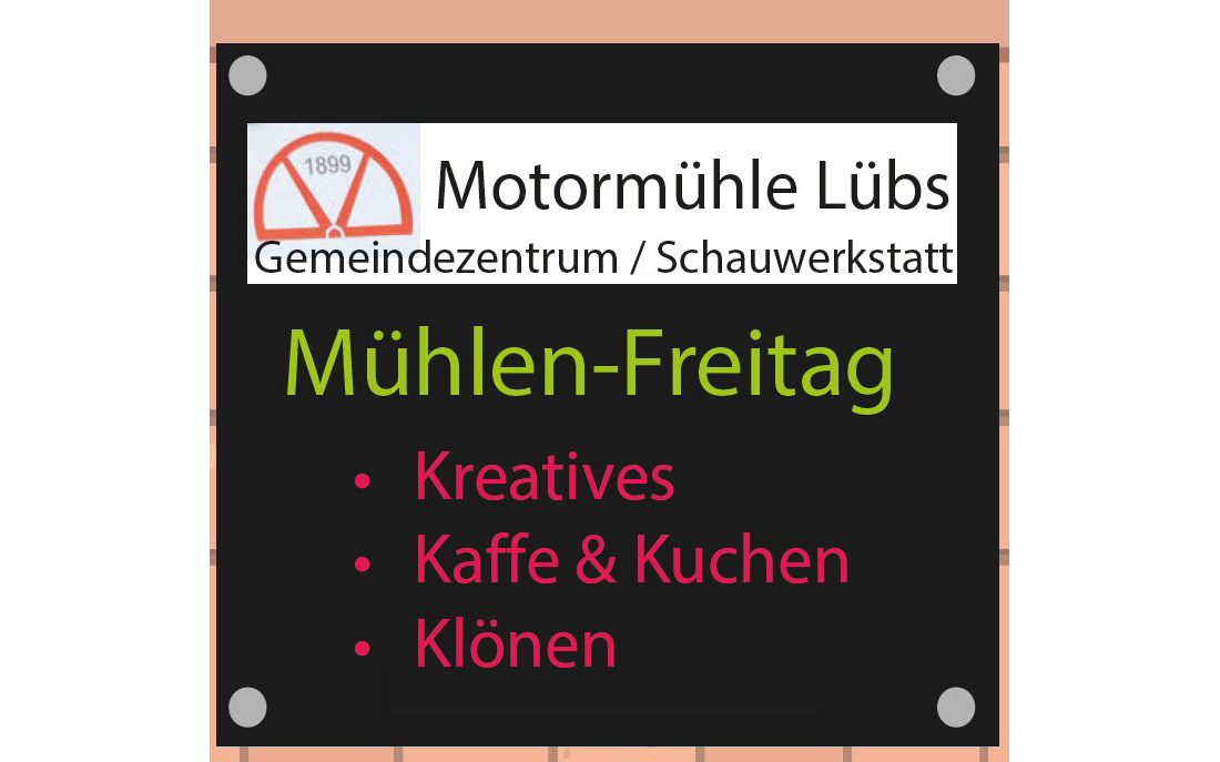 zeigt Flyer Mühlenfreitag mit allgemeinen Infos